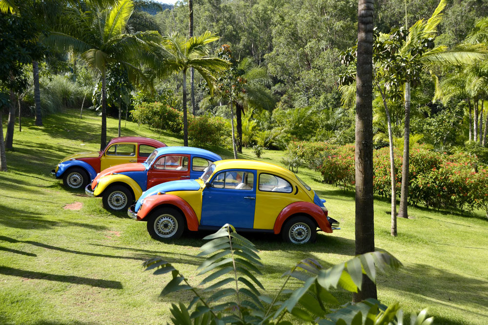 Jarbas-Lopes-Inhotim-©-Frank-Steinhofer