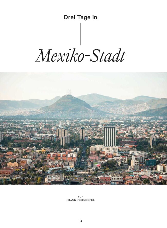 Weltkunst_2020_3 Days in Mexico City-4