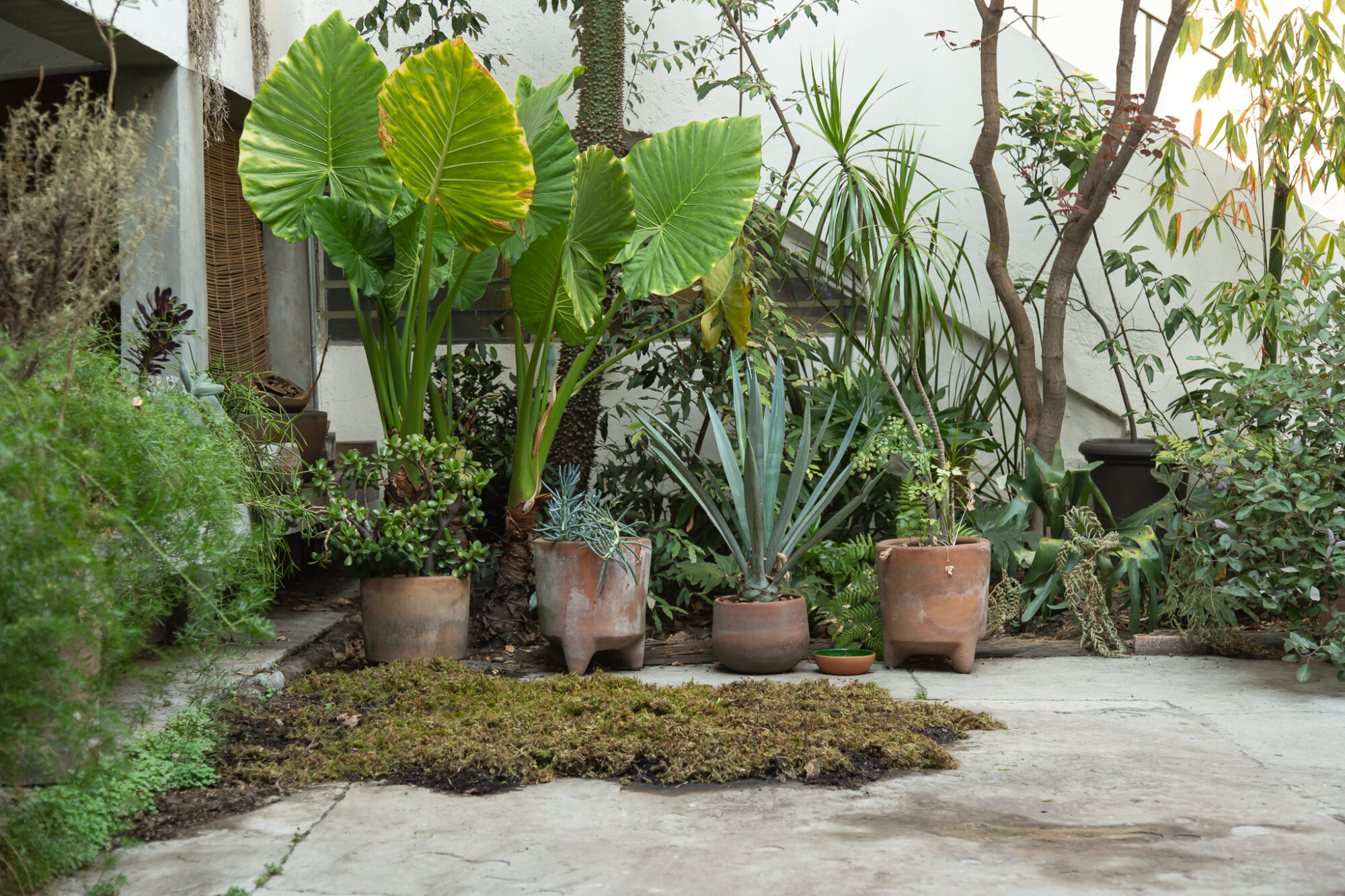 Moon Salt – Vernicular Institute – Tierre No Esuchada VI