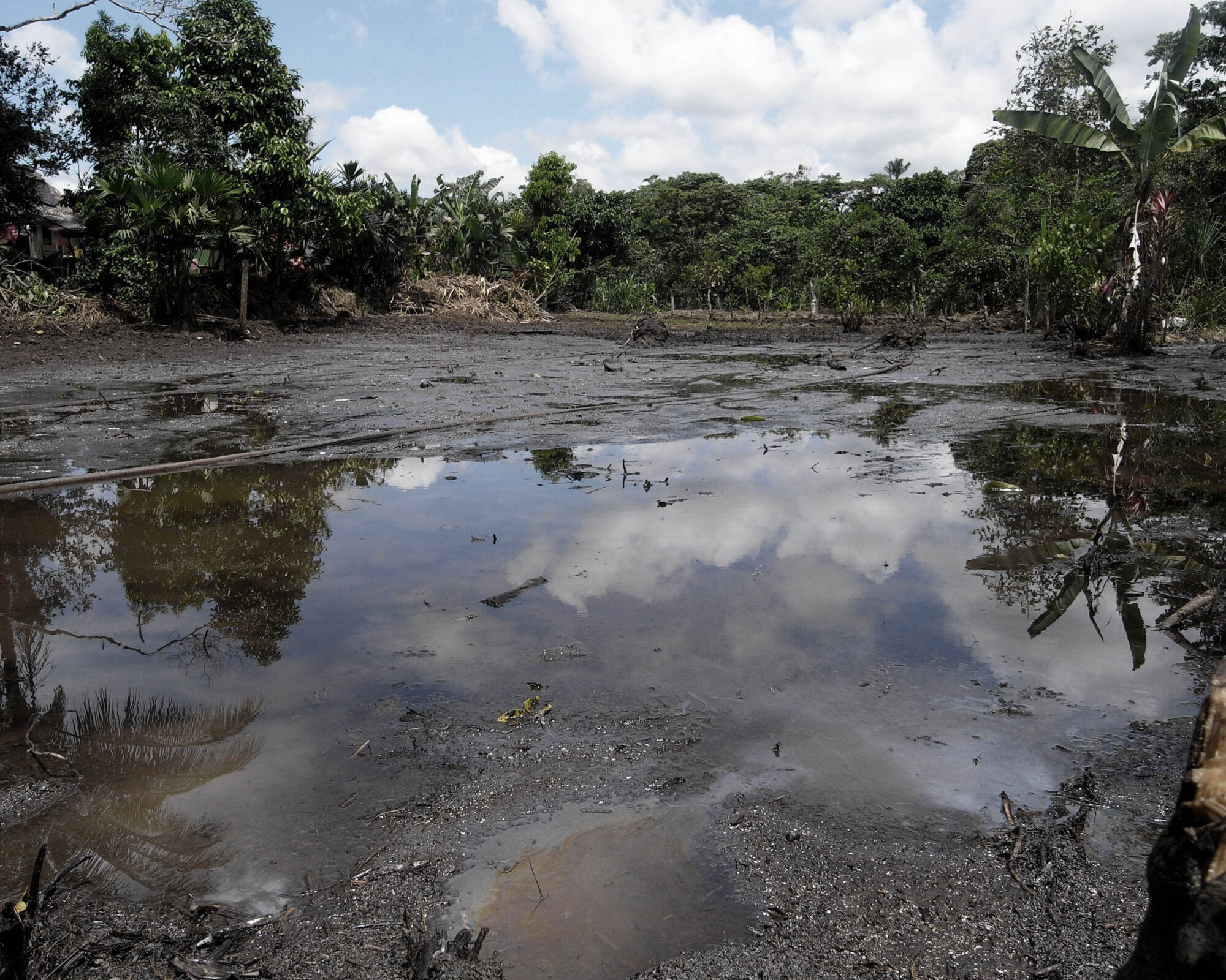 "They really didn't do much," said US chemist Wilma Subra, reviewing documents about Texaco's alleged clean-up operation in the Amazon after 1995. Photo taken at the Lago Agrio oilfield in Ecuador by Julien Gomba.